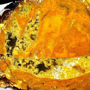 High Quality Moss Agate Thunderegg Lucky Strike Priday Slab Slice Cab Cabbing